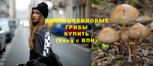 стафф Волоколамск