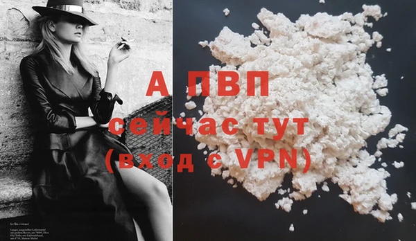 стафф Волоколамск