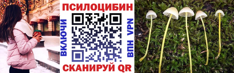 как найти закладки  MEGA рабочий сайт  Галлюциногенные грибы Magic Shrooms  Нижневартовск 